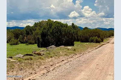 121 Co Rd 8051 -- #-, Concho, AZ 85924 - Photo 4