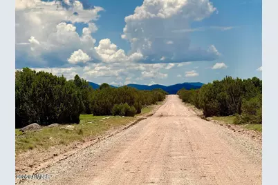 125 Co Rd 8051 -- #-, Concho, AZ 85924 - Photo 4