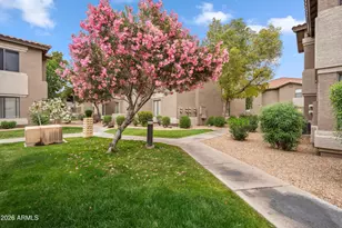 9600 N 96 Th St, Scottsdale, AZ 85258 - Photo 26