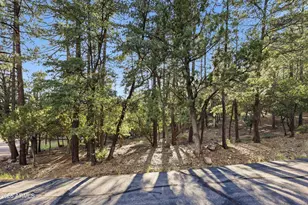 98 N Trails End Dr, Pine, AZ 85544 - Photo 1
