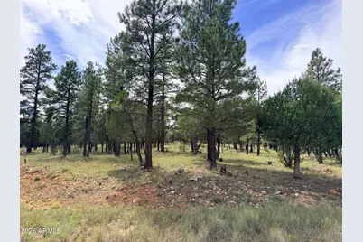5206 Starlight Drive #166, Happy Jack, AZ 86024 - Photo 1
