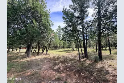 5206 Starlight Drive #166, Happy Jack, AZ 86024 - Photo 2