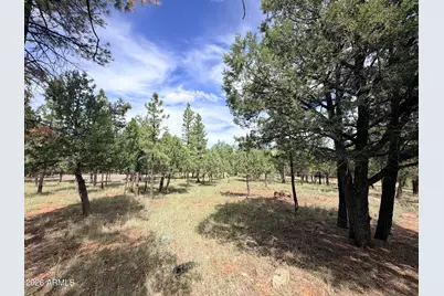 5206 Starlight Drive #166, Happy Jack, AZ 86024 - Photo 4