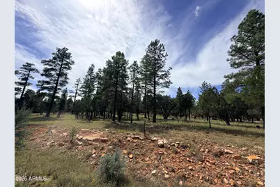 5206 Starlight Drive #166, Happy Jack, AZ 86024 - Photo 8