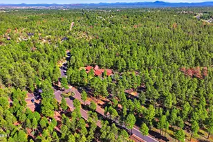 2741 W Villa Loop, Show Low, AZ 85901 - Photo 64