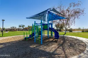 241 W Summit Cir, San Tan Valley, AZ 85143 - Photo 46