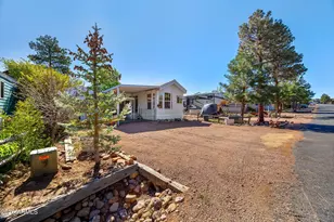 2725 Whiskey Rd, Overgaard, AZ 85933 - Photo 2