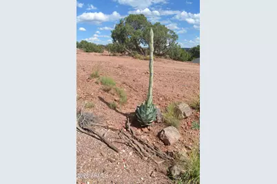 45 N8605 --, Concho, AZ 85924 - Photo 32