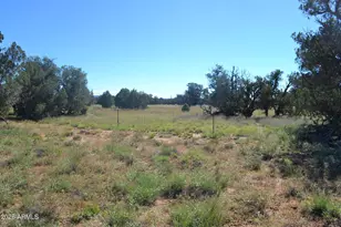 Tbd N5549 --, Concho, AZ 85924 - Photo 1