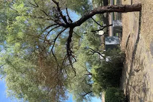 4074 E Wagon Ct, Gilbert, AZ 85297 - Photo 38