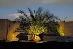 1922 W Burgess Ln, Phoenix, AZ 85041 - Photo 44