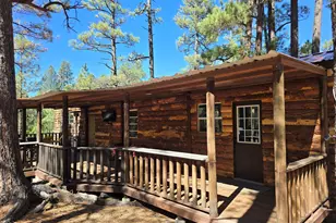 2373 Pine Valley Rd, Happy Jack, AZ 86024 - Photo 6