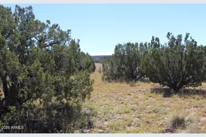 Sec 11 T14N, R16E, Nw4 Se4 Ne4 -- #201-41-024C, Heber, AZ 85928 - Photo 4