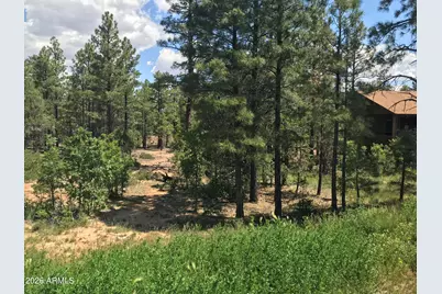 4241 W Falling Leaf Road #319, Show Low, AZ 85901 - Photo 2