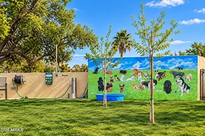 17200 W Bell Road #367, Surprise, AZ 85374 - Photo 42