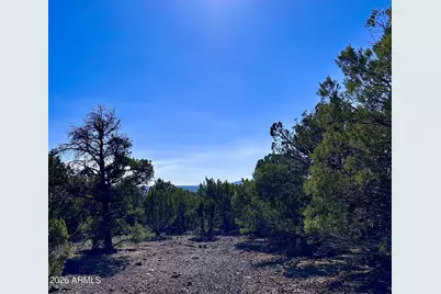10 County Rd 3030 -- #-, Show Low, AZ 85901 - Photo 8