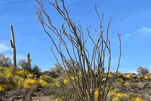 0 E Angel Basin Rd, Queen Valley, AZ 85118 - Photo 2