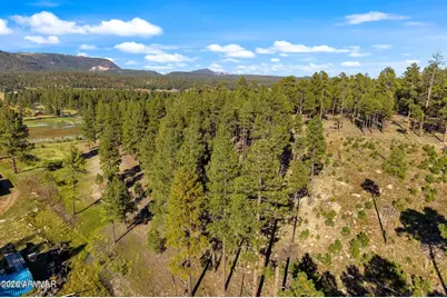158 County Road 2266 -- #-, Alpine, AZ 85920 - Photo 12