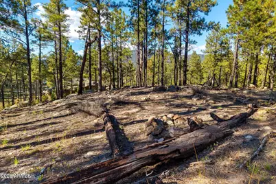 158 County Road 2266 -- #-, Alpine, AZ 85920 - Photo 8