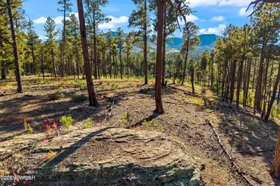 158 County Road 2266 -- #-, Alpine, AZ 85920 - Photo 10