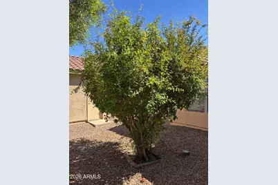 641 W Kingman Loop, Casa Grande, AZ 85122 - Photo 6
