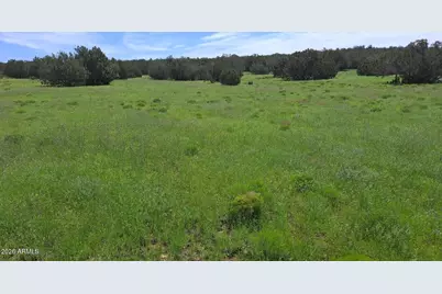 33 County Rd N8388 -- #-, Concho, AZ 85924 - Photo 14