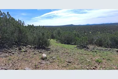 33 County Rd N8388 -- #-, Concho, AZ 85924 - Photo 6