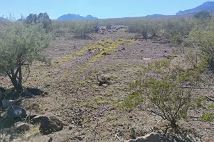 0 N Blaisdell Rd, Golden Valley, AZ 86413 - Photo 1