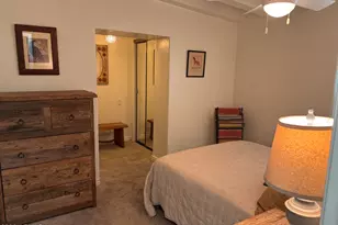 2734 E Flower St, Phoenix, AZ 85016 - Photo 18