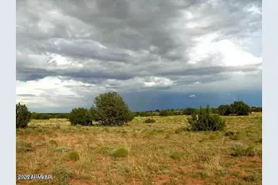 550 Sterling- Lot 825 Avenue #825, Heber, AZ 85928 - Photo 2