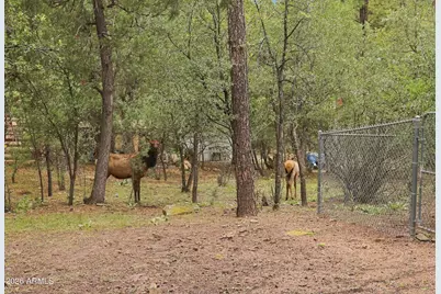 5844 W Robin Way, Pine, AZ 85544 - Photo 30