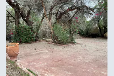 6906 E Thomas Road, Scottsdale, AZ 85251 - Photo 8