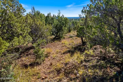 3469 Highland Drive #132, Heber, AZ 85928 - Photo 2
