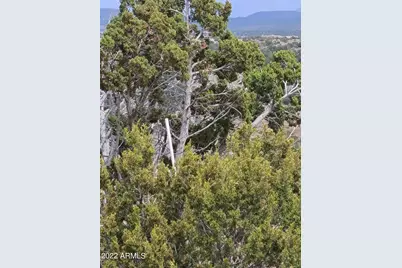 9287 Lariat, Williams, AZ 86046 - Photo 1