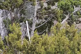 9287 Lariat, Williams, AZ 86046 - Photo 1