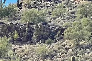 43000 N 10th St, New River, AZ 85087 - Photo 1