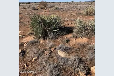 Lot 663 Chevelon Canyon Ranch -- #663, Heber, AZ 85928 - Photo 1