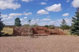 7687/7693 Arroyo Plata Dr, Show Low, AZ 85901 - Photo 1