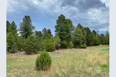 2026 State Route 277 -- #C, Overgaard, AZ 85933 - Photo 1