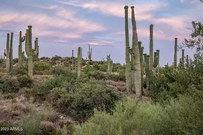 41927 N Saguaro Forest Drive #107, Scottsdale, AZ 85262 - Photo 20
