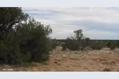 Sec 19 T15N, R16E -- #'''-''', Heber, AZ 85928 - Photo 1
