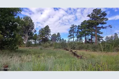 5139 State Route 260, Clay Springs, AZ 85923 - Photo 1