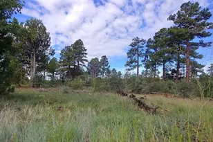 5139 State Route 260, Clay Springs, AZ 85923 - Photo 1