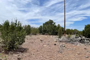 0 N N8166 and Stanford Dr - Lot C, Vernon, AZ 85940 - Photo 1