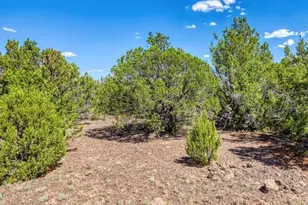 84 County Road N3133 Rd, Vernon, AZ 85940 - Photo 1