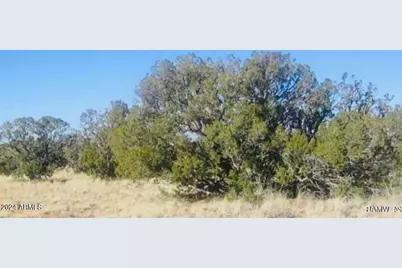 Tbd Squaw Tank Vista Drive #-, Heber, AZ 85928 - Photo 1