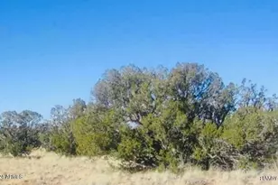 Tbd Squaw Tank Vista Dr, Heber, AZ 85928 - Photo 1