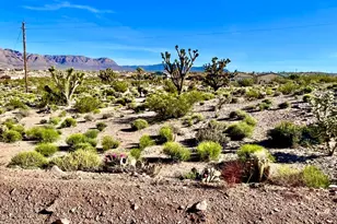 510 Ashley Dr, Meadview, AZ 86444 - Photo 1