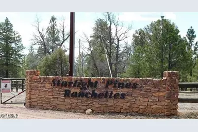 4675 Lookout Point Road #117, Happy Jack, AZ 86024 - Photo 1
