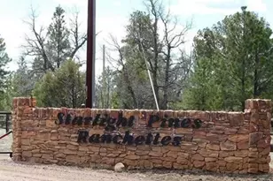 4675 Lookout Point Rd, Happy Jack, AZ 86024 - Photo 1